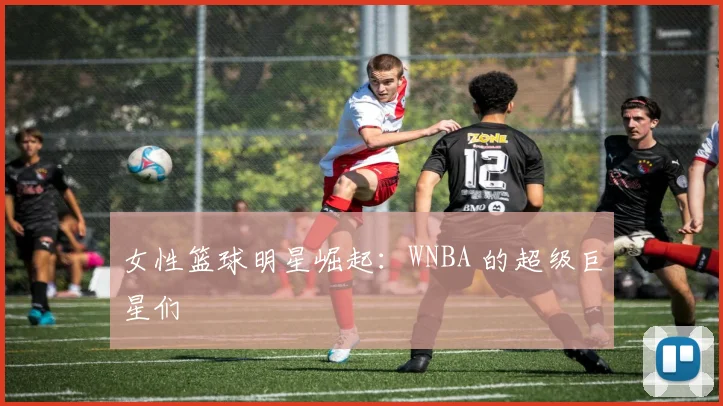 女性篮球明星崛起:WNBA 的超级巨星们