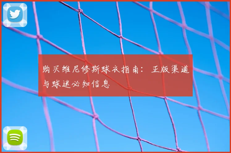 购买维尼修斯球衣指南：正版渠道与球迷必知信息